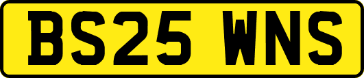BS25WNS