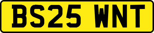 BS25WNT