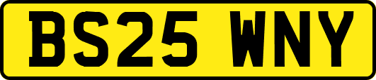 BS25WNY
