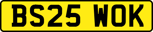 BS25WOK