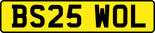 BS25WOL