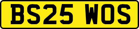 BS25WOS
