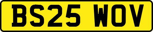 BS25WOV