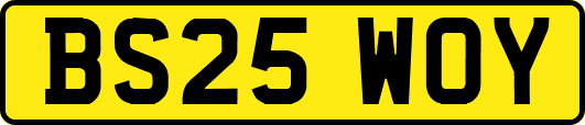 BS25WOY