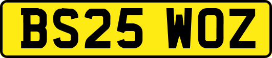 BS25WOZ