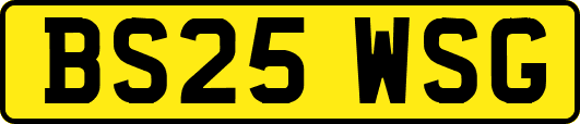 BS25WSG