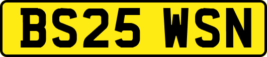 BS25WSN