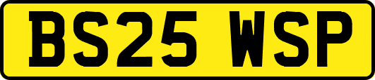 BS25WSP