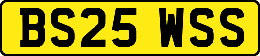 BS25WSS