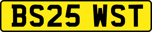 BS25WST
