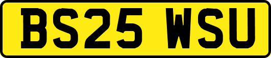 BS25WSU
