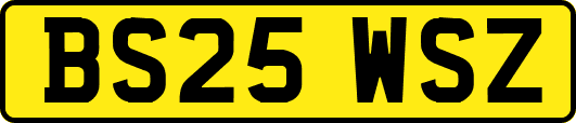 BS25WSZ
