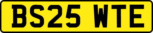 BS25WTE