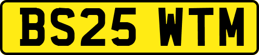 BS25WTM