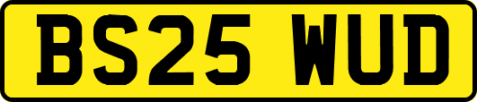 BS25WUD
