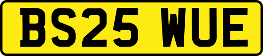 BS25WUE