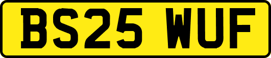 BS25WUF