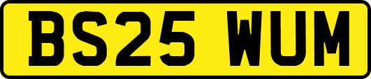 BS25WUM