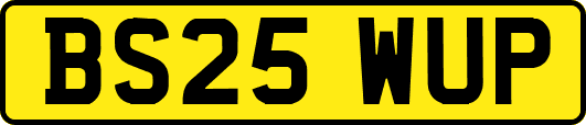 BS25WUP