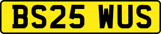 BS25WUS
