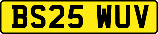 BS25WUV