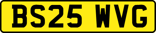 BS25WVG
