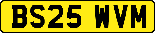 BS25WVM
