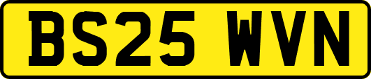 BS25WVN