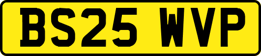 BS25WVP