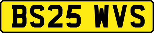 BS25WVS