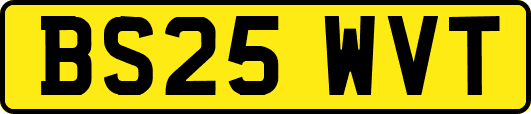 BS25WVT