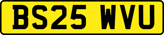 BS25WVU
