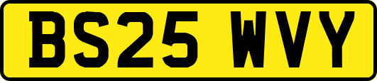 BS25WVY