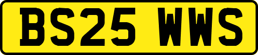 BS25WWS