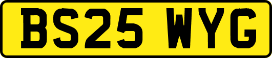 BS25WYG