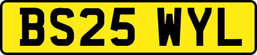 BS25WYL