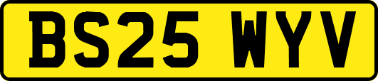 BS25WYV