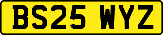 BS25WYZ