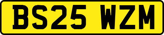 BS25WZM