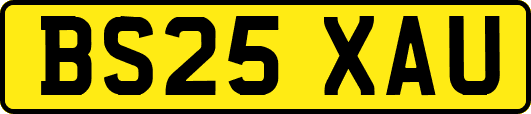 BS25XAU