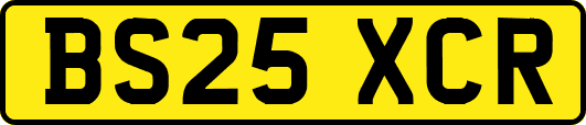 BS25XCR