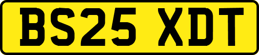 BS25XDT
