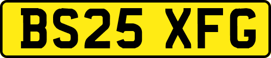 BS25XFG