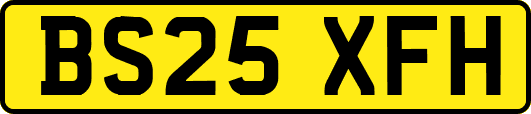 BS25XFH