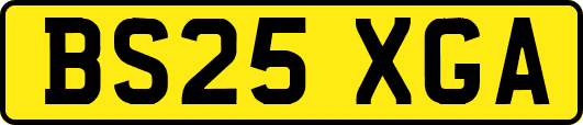 BS25XGA