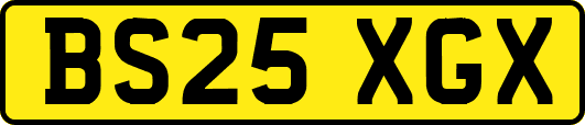 BS25XGX