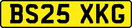 BS25XKG