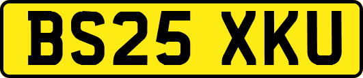 BS25XKU