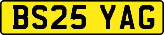 BS25YAG