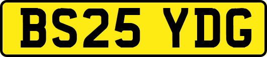 BS25YDG